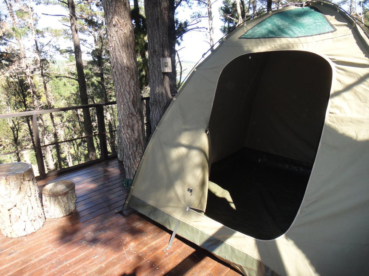Eagles' Call Cottages And Tent Wildernis Exteriér fotografie