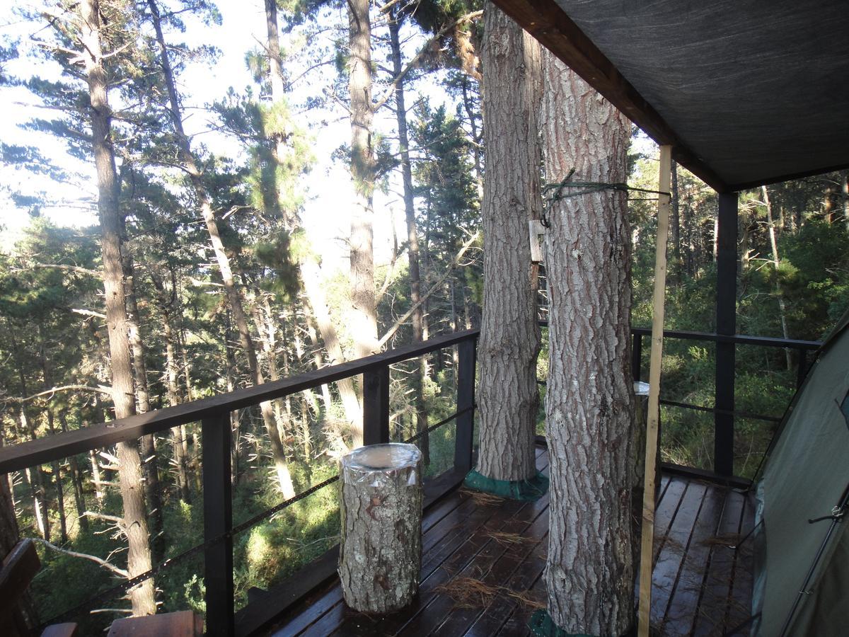 Eagles' Call Cottages And Tent Wildernis Exteriér fotografie